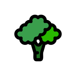 Brocolli  Icon