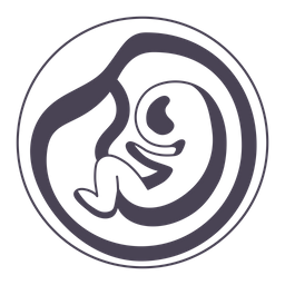 Embryo  Icon