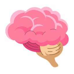 Brain  Icon