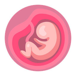 Embryo  Icon