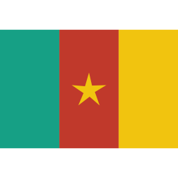 Cameroon Cameroonian  Icon