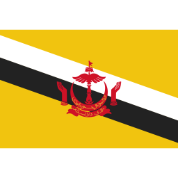 Brunei  Icon