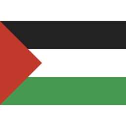 Palestine  Icon