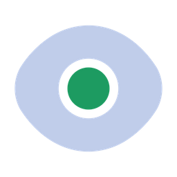 Eye  Icon