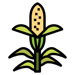 Corn  Icon