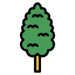 Cypress  Icon