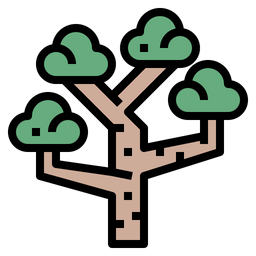 Eucalyptus  Icon