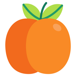 Apricot  Icon