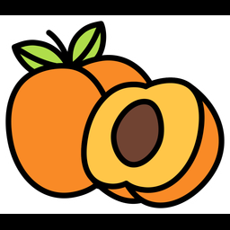 Apricot-with-half-cut  Icon