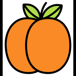 Apricot  Icon