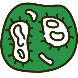 Bacteria  Icon