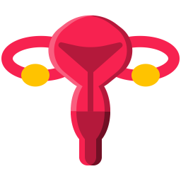 Female Reproductive  Icon