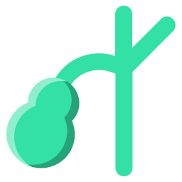 Gall Bladder  Icon