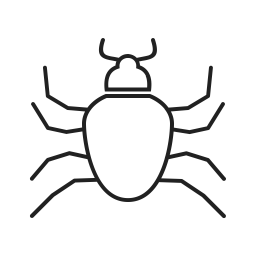 Bug  Icon