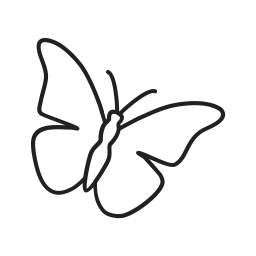 Butterfly  Icon