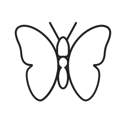 Butterfly  Icon