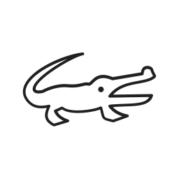 Alligator  Icon