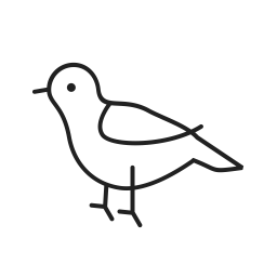 Bird  Icon