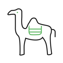 Camel  Icon