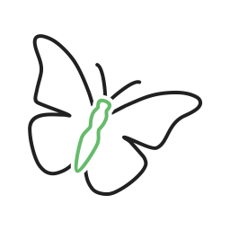 Butterfly  Icon