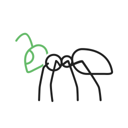 Ant  Icon