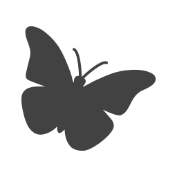 Butterfly  Icon