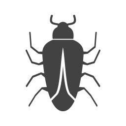 Bug  Icon