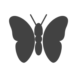 Butterfly  Icon