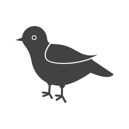 Bird  Icon