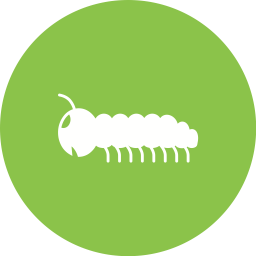 Caterpiller  Icon