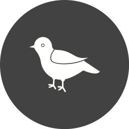 Bird  Icon