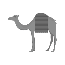 Camel  Icon