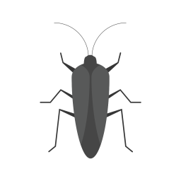 Bug  Icon