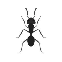 Ant  Icon