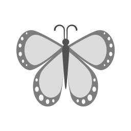 Butterfly  Icon