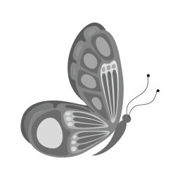 Butterfly  Icon