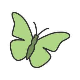 Butterfly  Icon