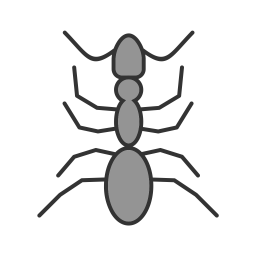 Ant  Icon