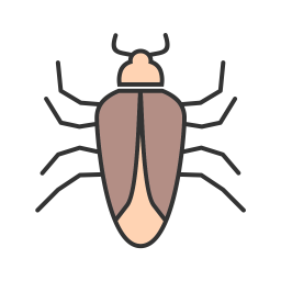 Bug  Icon