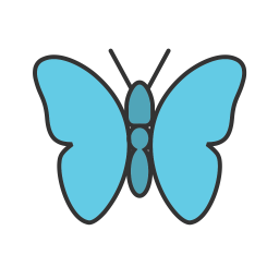 Butterfly  Icon