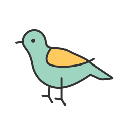 Bird  Icon