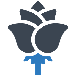 Flower  Icon