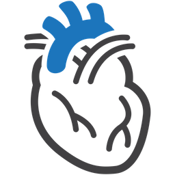 Cardiovascular system  Icon