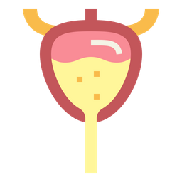 Bladder  Icon