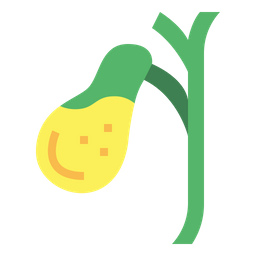 Gallbladder  Icon