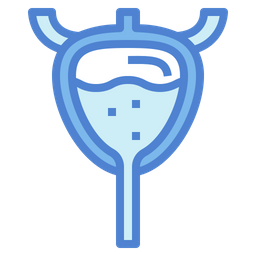 Bladder  Icon