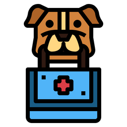 First Aid Kit  Icon