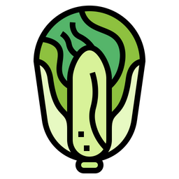 Chinese Cabbage  Icon