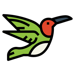 Hummingbird  Icon