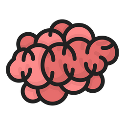 Brain  Icon